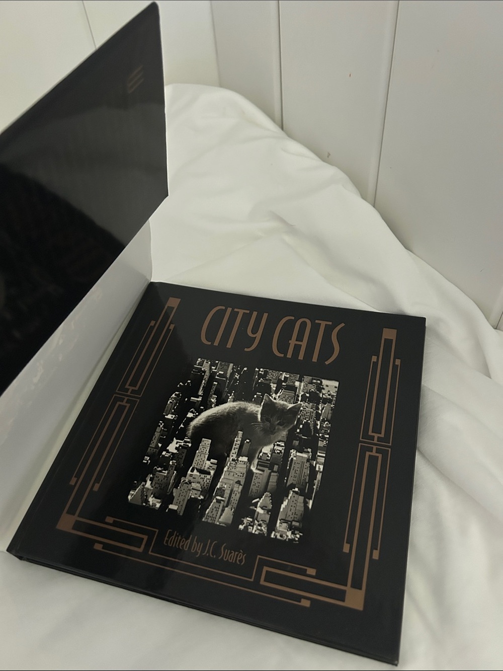 City Cats 90s Hardcover Photo Book Jean-Claude Suarès Italy vintage cat pictures - Picture 4 of 17